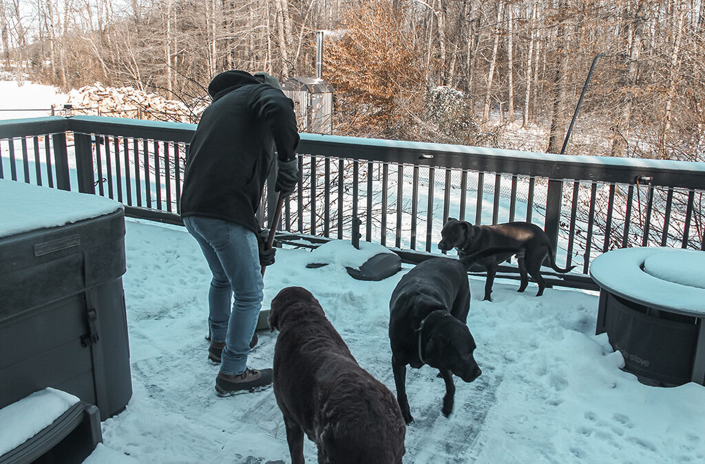 when indiana winter bites back