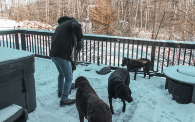 when indiana winter bites back