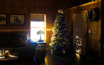 i’m on the pc struggle bus