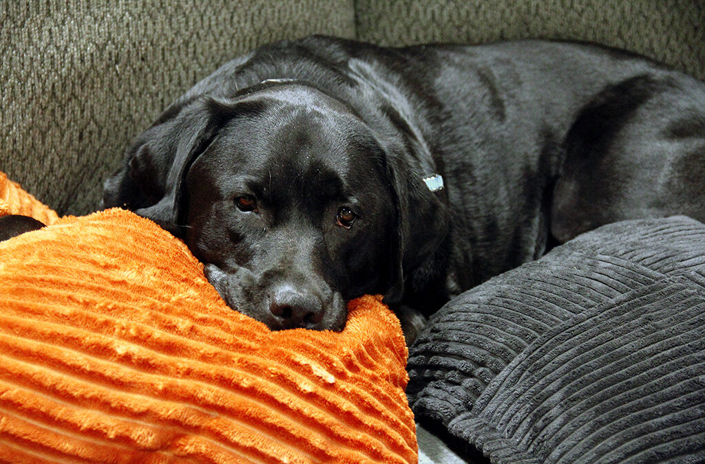 are you depressed after Christmas un-decorating?