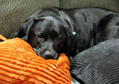Merida is feeling blue - Week #1