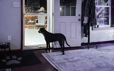 do you define seasons by meteorological or astronomical?