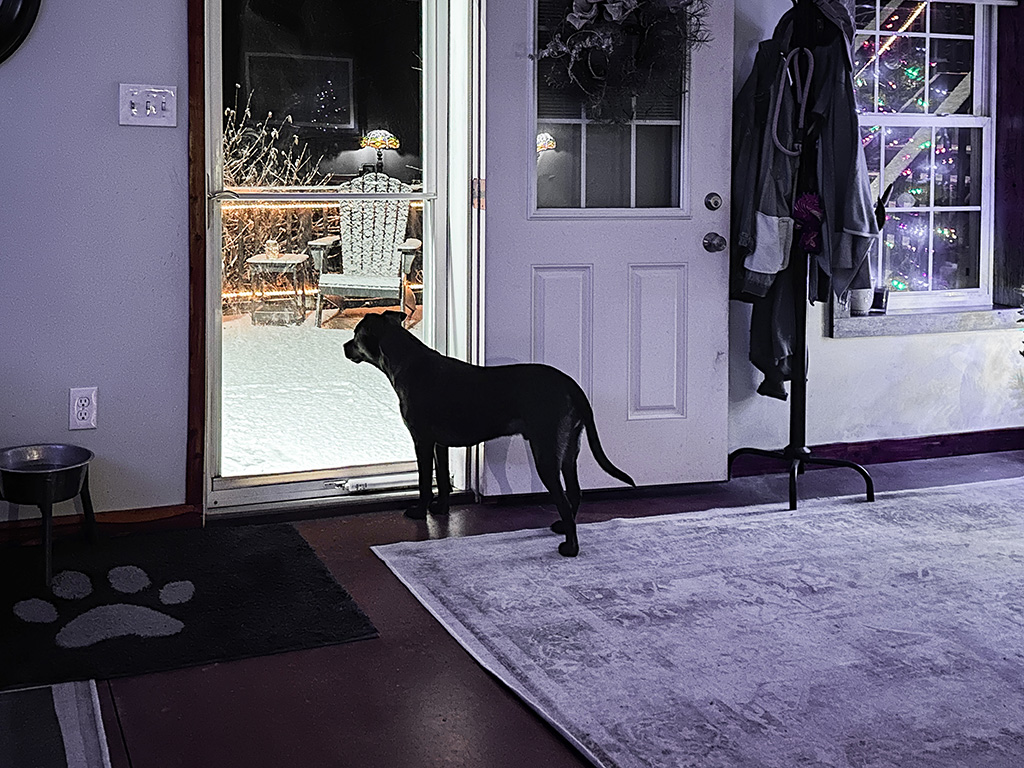 Hugo is certain it's winter.