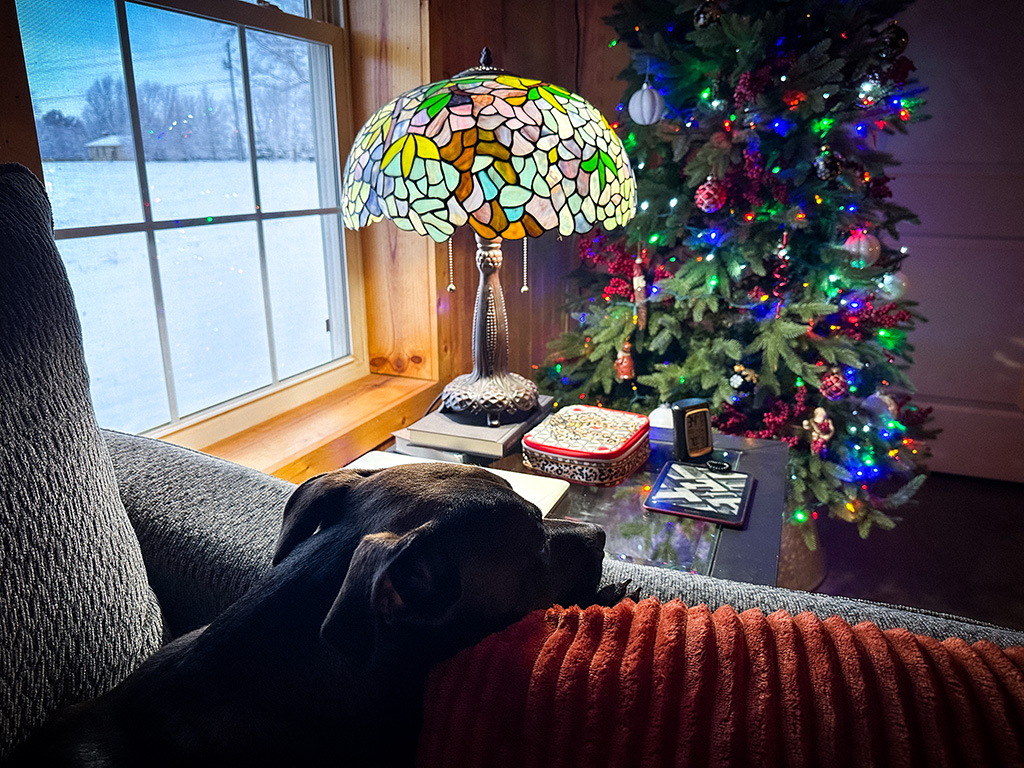 Hugo just wanted me out of bed.