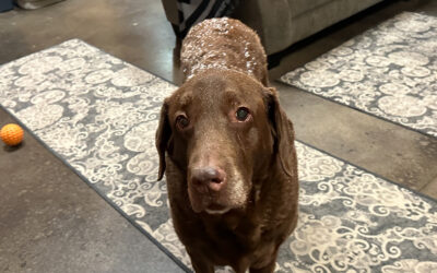 feeling of accomplishment vanished in 2 hours