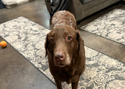 Dharma wants the walkway clear: week #51