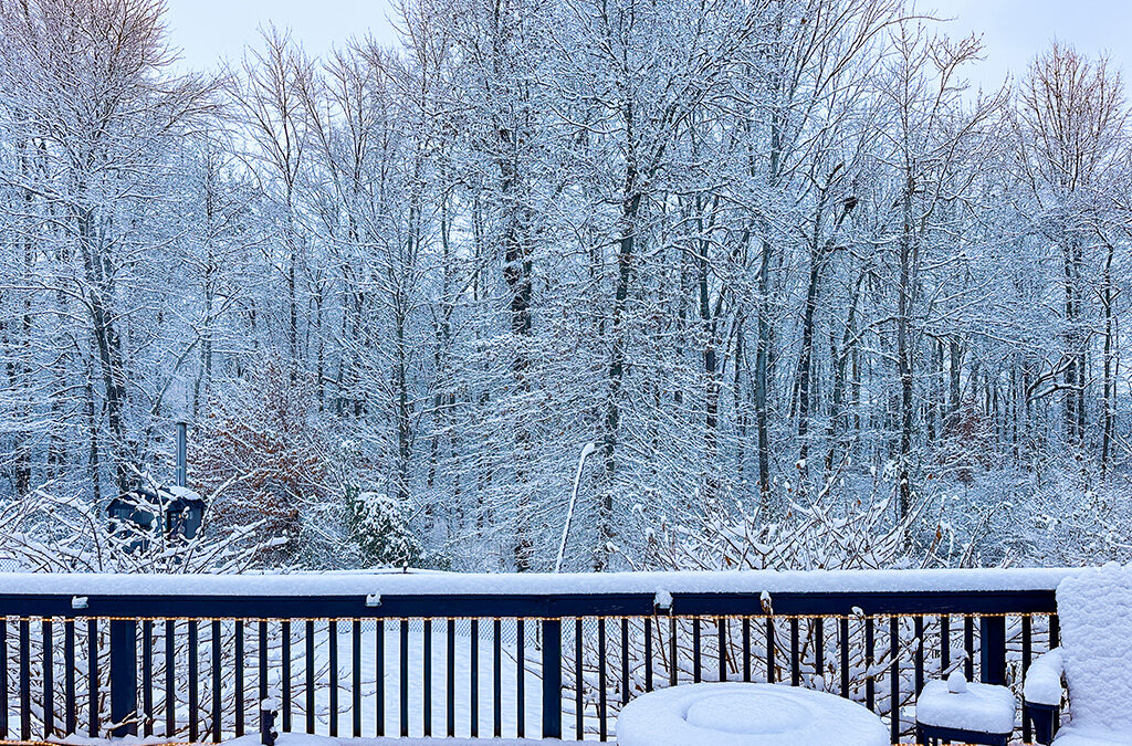 milk, eggs, & bread: snowmageddon staples