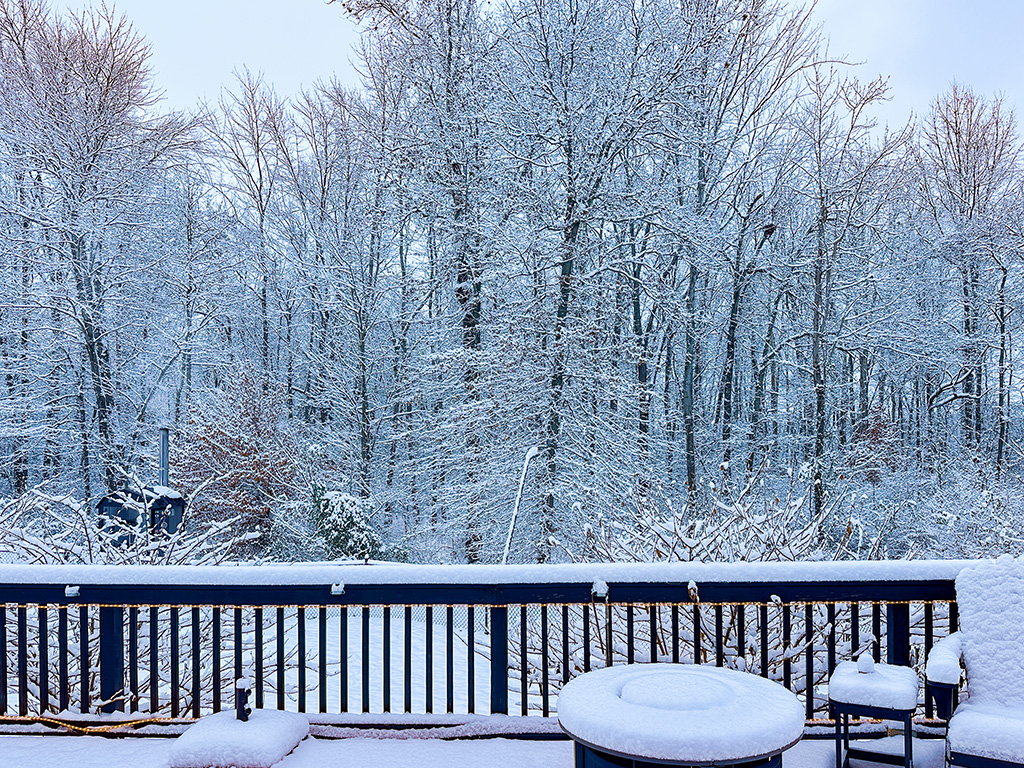 snowy day in Indiana