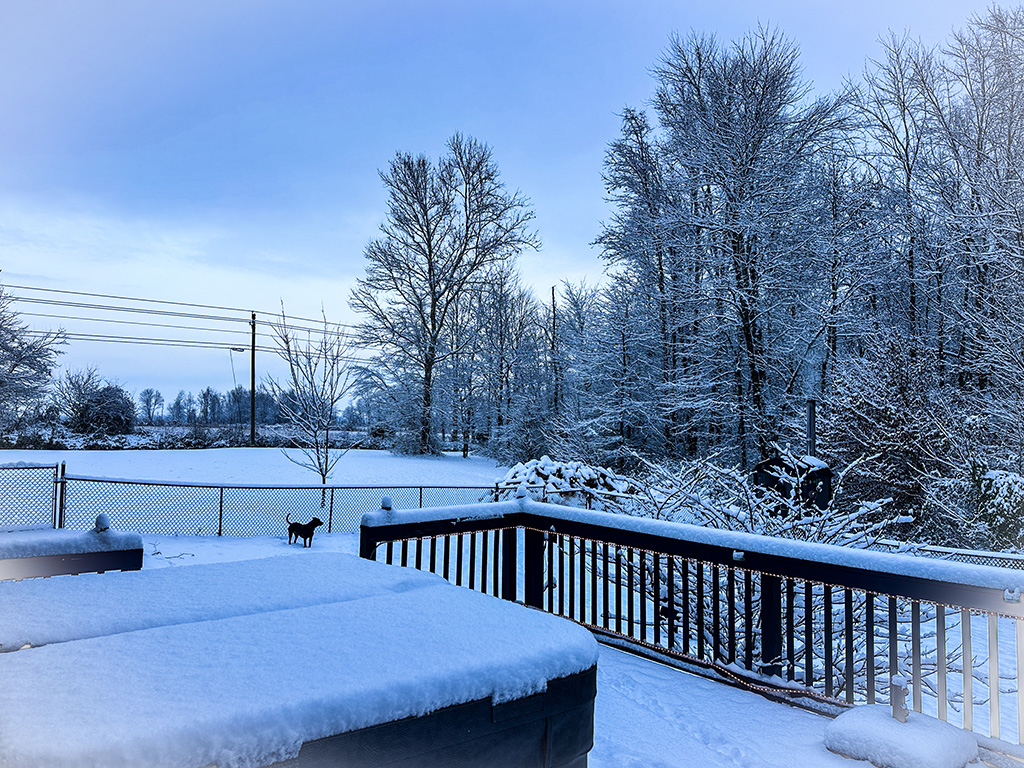 snowy morning in Indiana