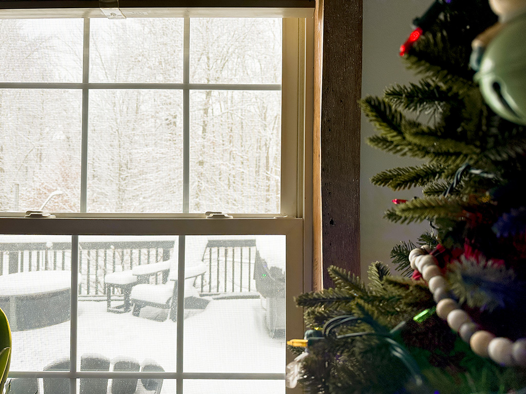 my wintery view