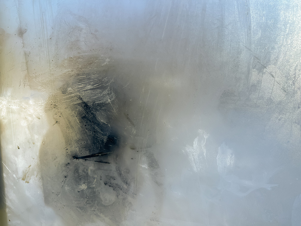 Merida through the frozen storm door