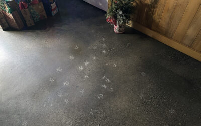 what’s your biggest time sink today?