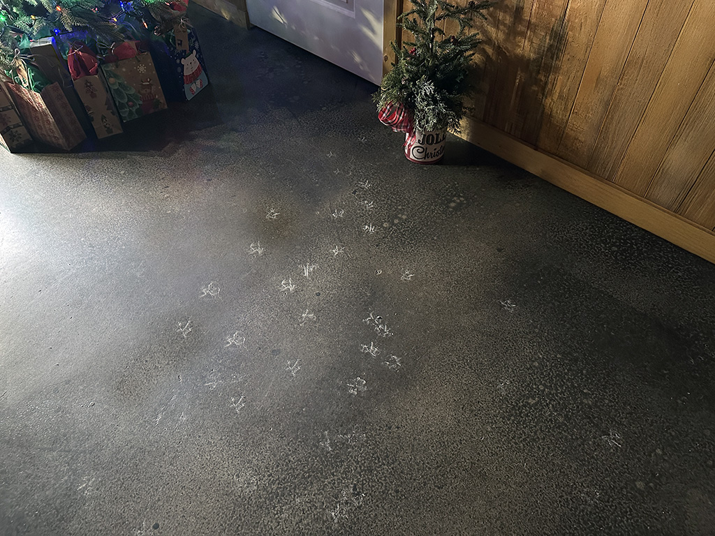 mopping footprints is a time sink