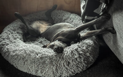 even retired people need a day of self care