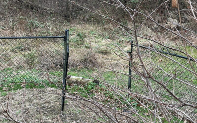 it’s a real who done it!