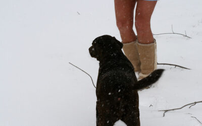 oldest item of footwear you still have in your closet?