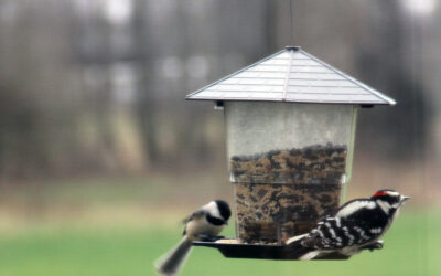 connecting when a classmate has health challenges