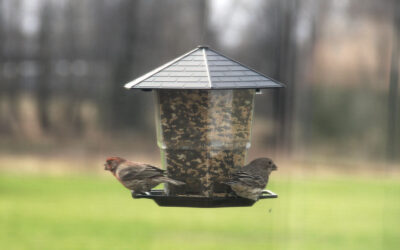 moving regrets — what states lead in buyer remorse?