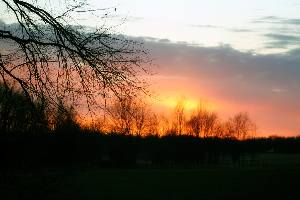 winter sunset at the barndo