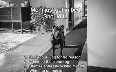 why i rarely visit facebook