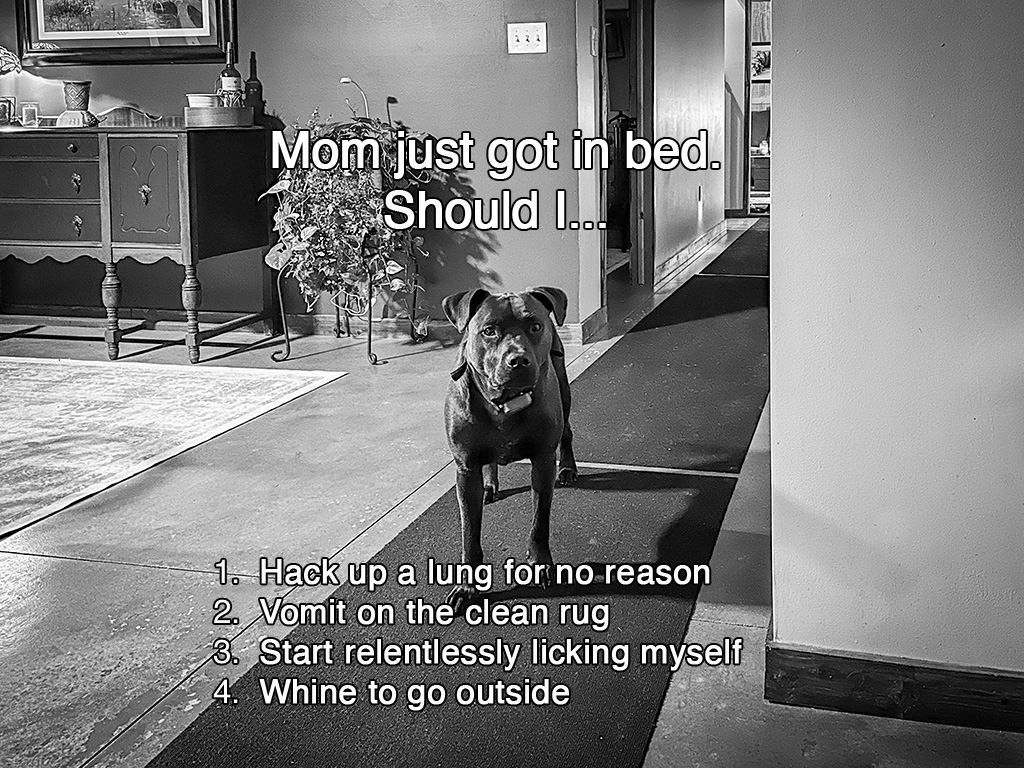 what should hugo do?