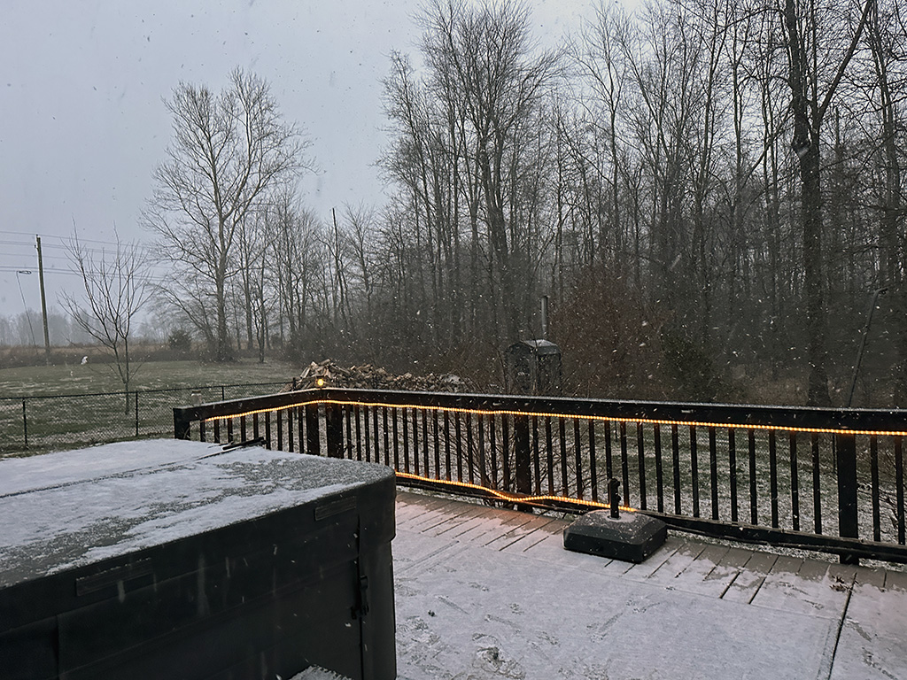 Senior Male Hibernal drops snow