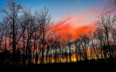 what memes and color trends best describe you?