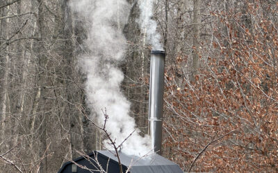 when it rains it pours & murphy’s law