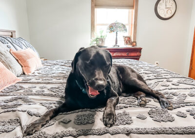 Beds make you sleepy: week #3