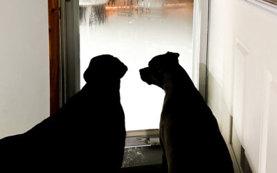 welp… here we go again…