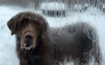 i’m struggling with what’s going on in Minnesota