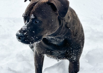 Hugo's spit sickle: week #5