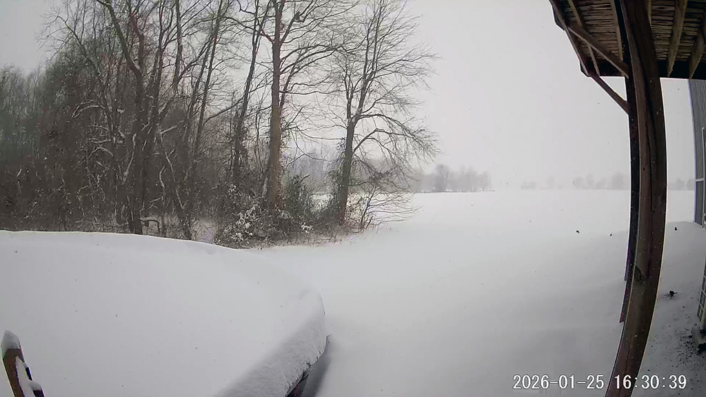 snow from security camera