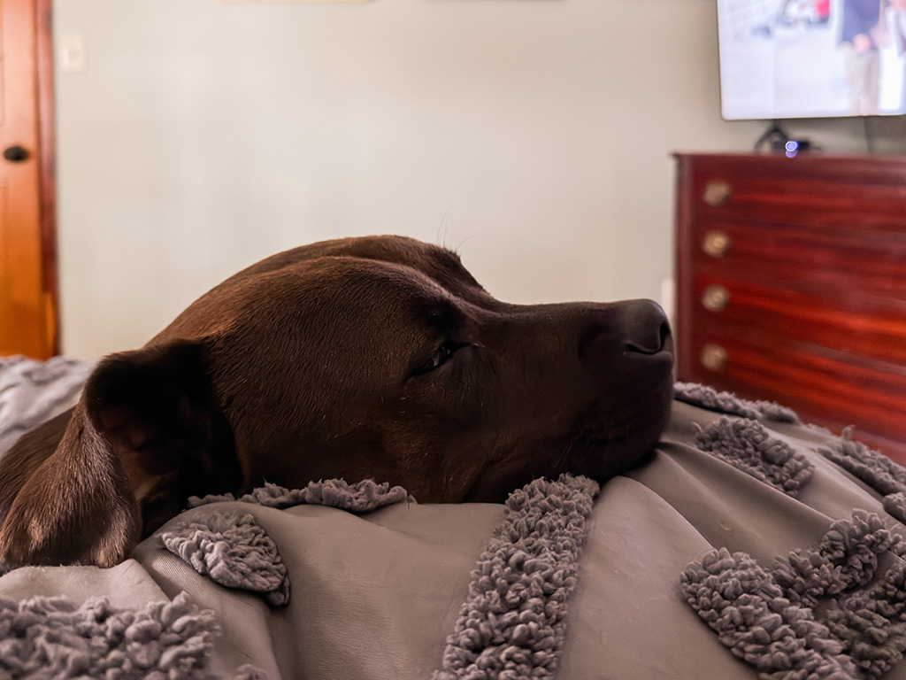 Hugo wasn't allowed to join.