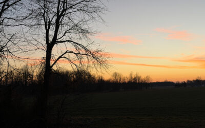 we live in the age of access