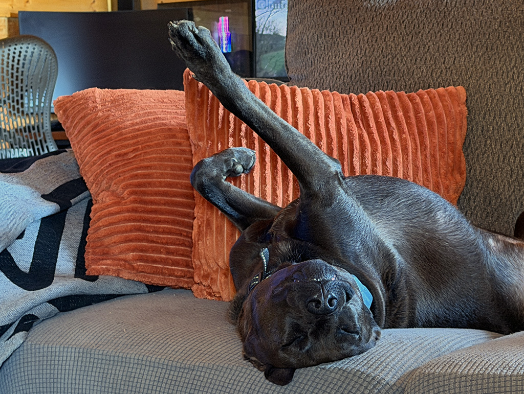 Hugo's version of support.