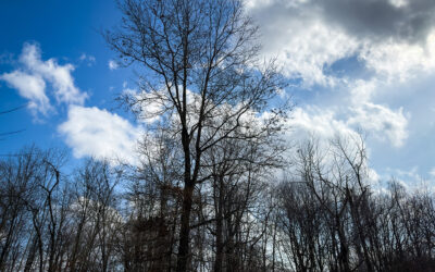 do you believe in alien and extraterrestrial life?