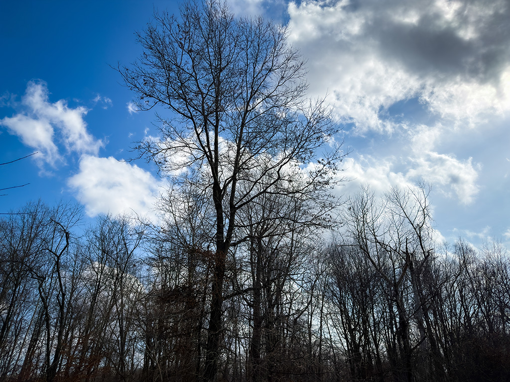 February sky at the barndo