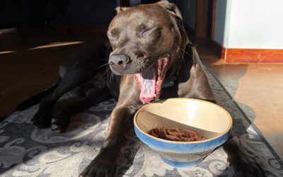 AT&T to T-Mobile: the switch was painful