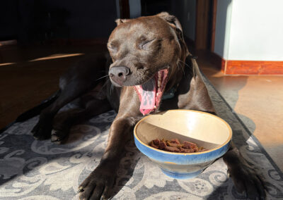 TMobile causes pain: week #8