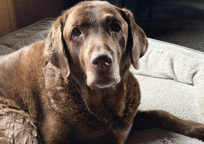 Getting old sucks: week #9