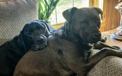 productivity: always pick common sense as your guide