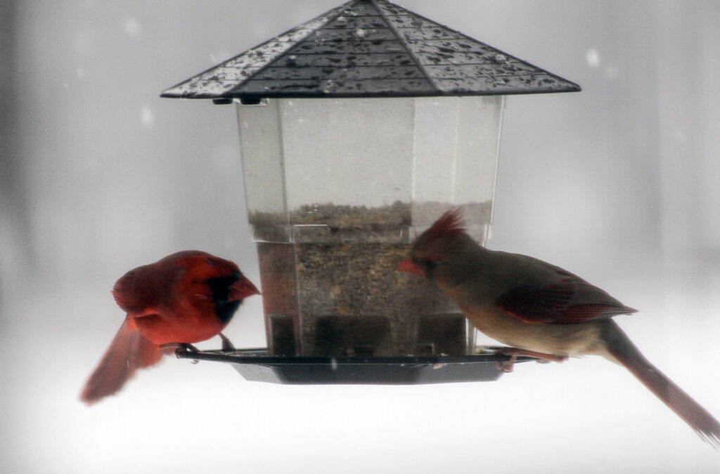 strategies to attract new business doesn’t mean loyalty