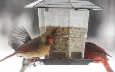 valentine’s day happy post