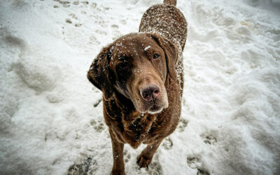 people don’t want to hear your opinion