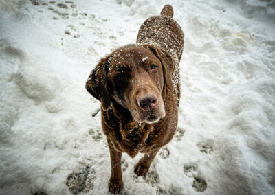 Dharma wants in: week #6