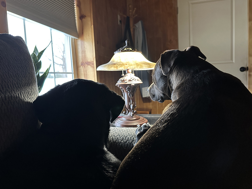 watching for newcomers