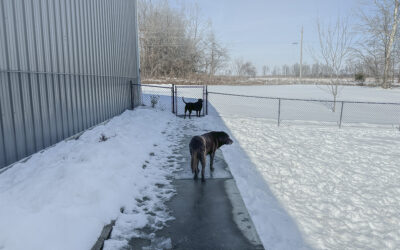 sad upped to another level — heart wrenching