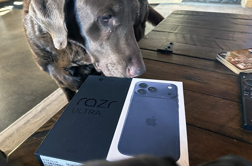 new phones are in da house!