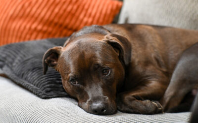 pick a weekend activity and i’ll know your personality style